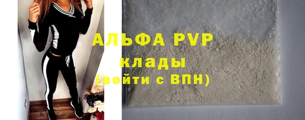 гидра Алексин
