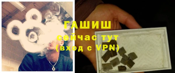 гидра Алексин