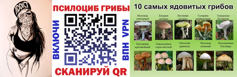 где купить наркоту Иркутск Галлюциногенные грибы Psilocybine cubensis
